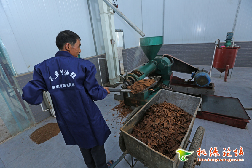 湖南省康多利油脂有限公司,油茶种植出产加工销售,植物油种植出产加工销售